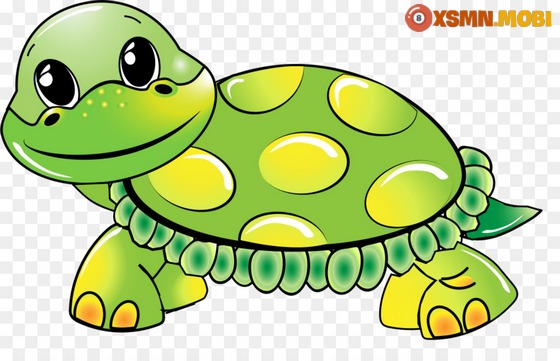 Ngủ mơ thấy con rùa là may hay xui?