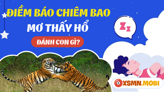 Mua số gì đẹp khi ngủ mơ thấy con hổ?