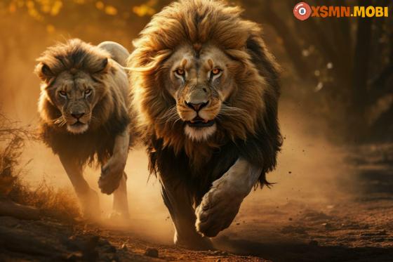 Chiêm bao thấy sư tử có ý nghĩa tâm linh như thế nào?