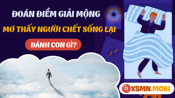 Con số may mắn của giấc mơ thấy chết rồi sống lại là gì?