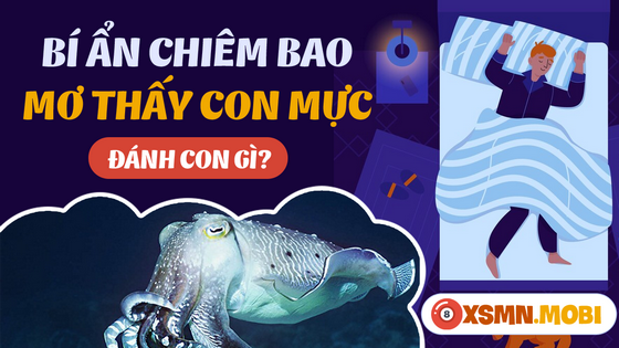 Nằm mơ thấy con mực gợi ra số may mắn gì?