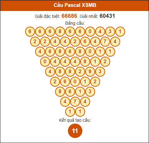 Cầu Pascale Miền Bắc ngày 11/02/2025