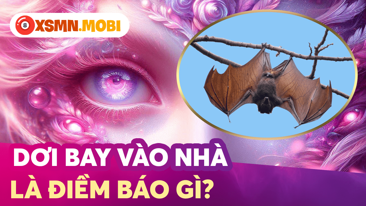 Dơi bay vào trong nhà dự báo diềmlành hay dữ?